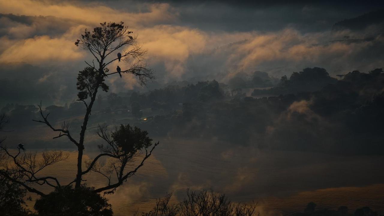 Spaco Vale Do Jordao Guarapuava Eksteriør billede